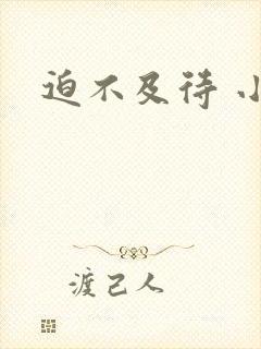 迫不及待 小穴