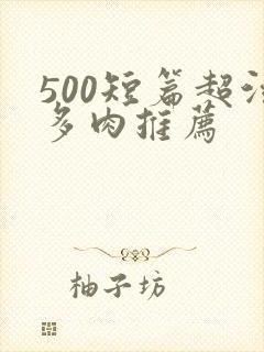 500短篇超污多肉推荐