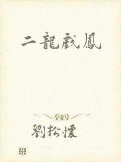 二龙戏凤