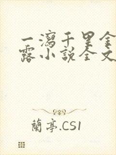 一泻千里金银花露小说全文免费阅读封面