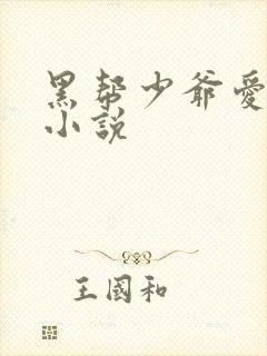 黑帮少爷爱上我小说