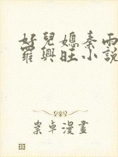 好儿媳秦雨罗明罗兴旺小说