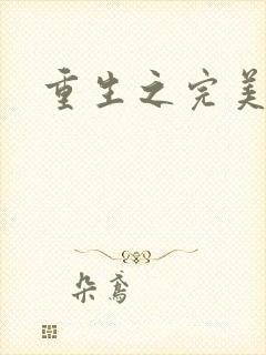 重生之完美一生封面