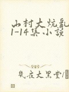 山村大炕乱肉续1-14集小说