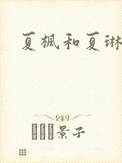夏枫和夏琳封面