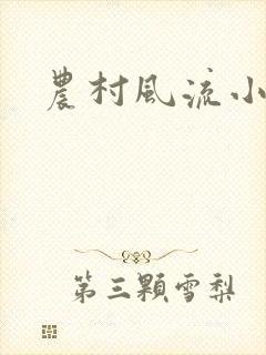 农村风流小说
