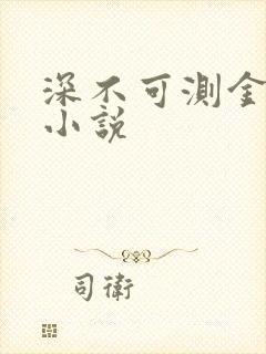 深不可测金银花小说