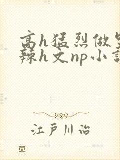 高h猛烈做哭高辣h文np小说封面