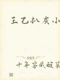 王乙扒灰小说