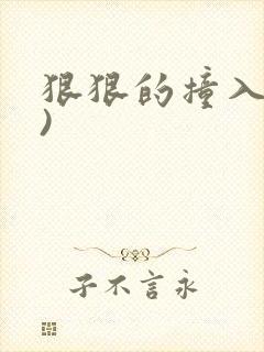 狠狠的撞入(h)
