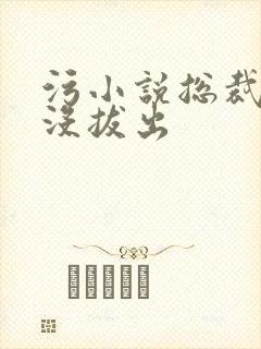 污小说总裁整夜没拔出