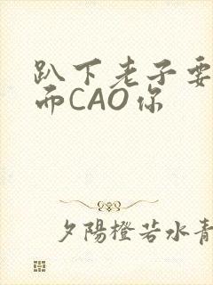 趴下老子要从后面CAO你