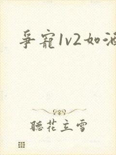 争宠1v2如酒