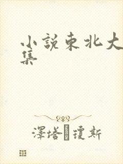 小说东北大炕全集封面