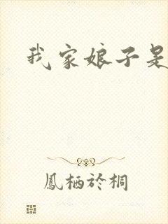 我家娘子是剑神封面