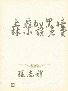 上瘾by黑暗森林小说免费