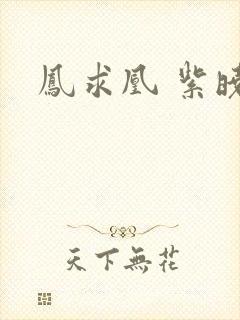 凤求凰 紫晓