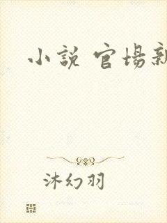 小说 官场新贵