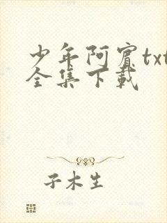 少年阿宾txt全集下载