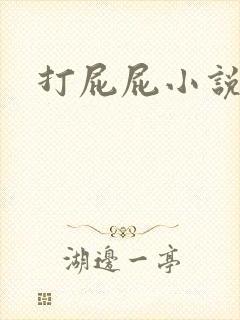 打屁屁小说