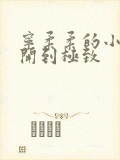 宁柔柔的小泬撑开到极致封面