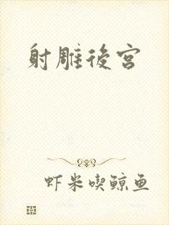 射雕后宫