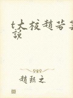 t大校赵若芸小说封面