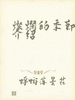 灿烂的季节剧情介绍
