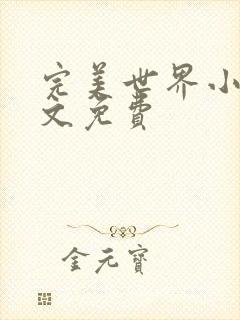 完美世界小说全文免费封面