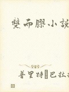 双面胶小说