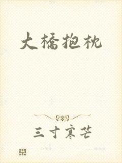 大桥抱枕