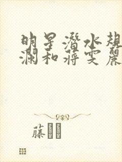明星潜水规则杨澜和蒋雯丽