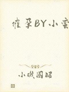 催孕BY小蛮腰