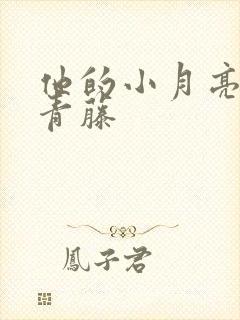 他的小月亮by青藤