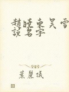 赵晓东吴雪晴小说名字