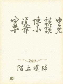 官道传说中的太子爷小说免费阅读封面