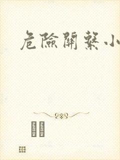 危险关系小说