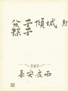 公子倾城 维和粽子封面
