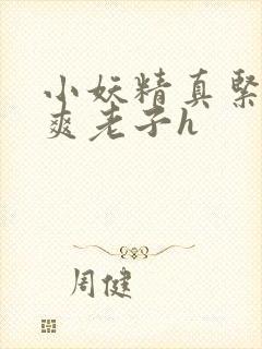 小妖精真紧h嘶爽老子h封面