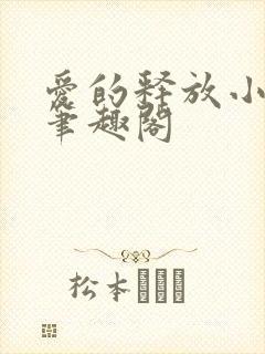 爱的释放小说 笔趣阁