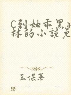 C到她乖黑暗森林的小说免费封面