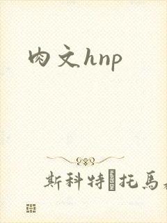 肉文hnp