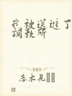 我被送进了私奴调教所封面