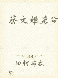 蔡文姬老公封面