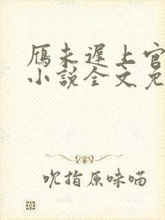 雁未迟上官穿越小说全文免费阅读