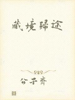 藏境归途