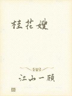 桂花嫂封面