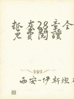 抓灰28章全部免费阅读