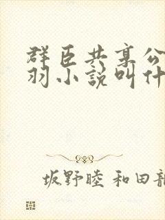 群臣共享公主银羽小说叫什么