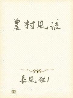 农村风流